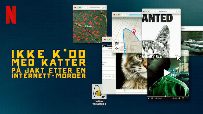 Ikke k*dd med katter: På jakt etter en Internett-morder